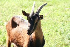 Killikus&reg; Fotographie